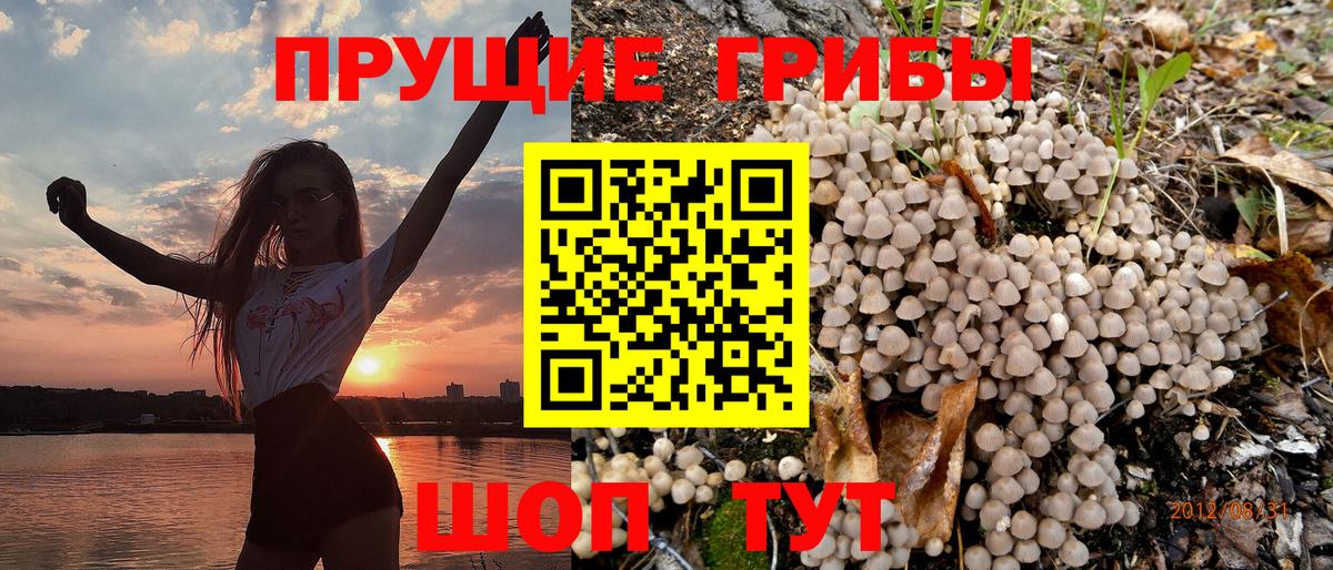 купить наркотики сайты  Вход с VPN  Узловая  Псилоцибиновые грибы Psilocybe 
